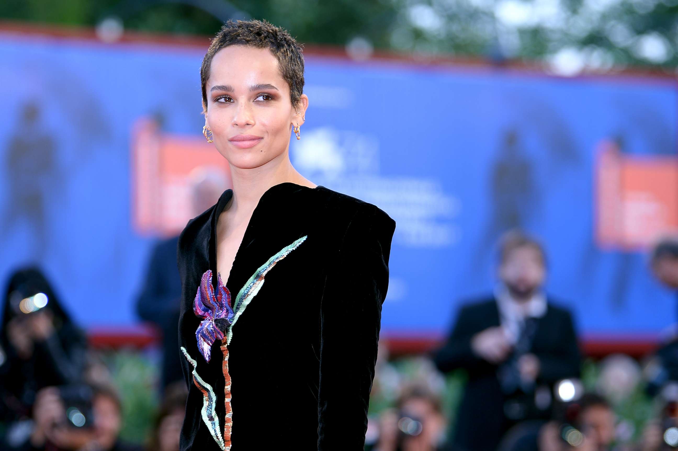 PHOTO: Zoe Kravitz attends the premiere of "Racer And The Jailbird (Le Fidele)" at the 74th Venice Film Festival, Sept. 8, 2017, in Venice, Italy.