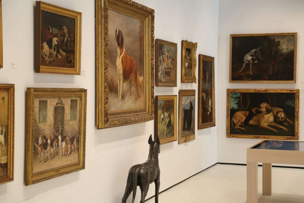 PHOTO: Hundreds of art pieces are within the museum walls including artwork from Sir Edwin Landseer, Maud Earl and Arthur Wardle.