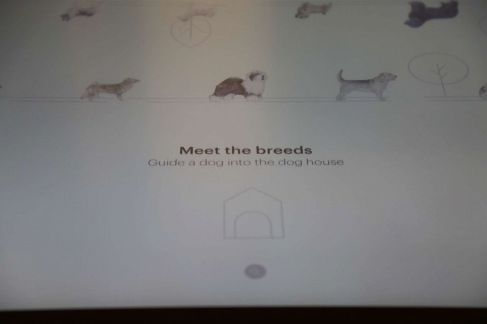 PHOTO: Kiosk allows you to learn an array of facts about each of the 193 known dog breeds.