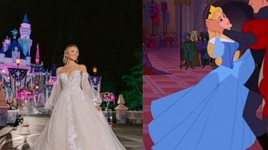 David's bridal hotsell disney collection