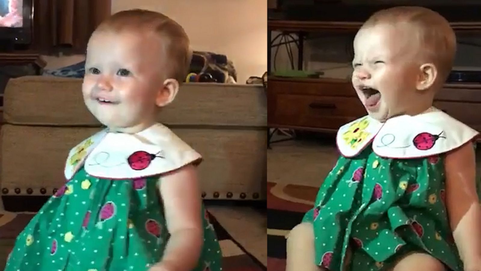 VIDEO: This 1-year-old loves the camera