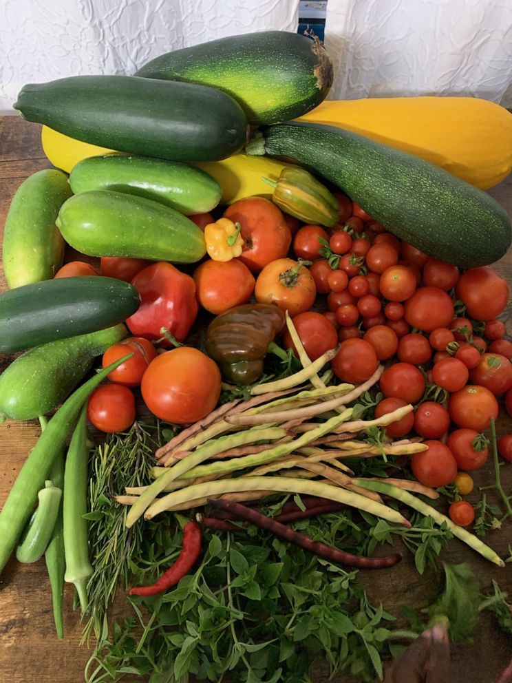 PHOTO: Kendall grows everything from carrots, okra, squash, zucchini and strawberries.