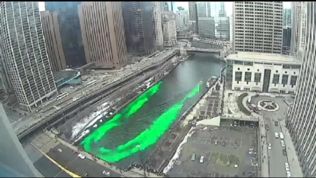chicago river goes green for st patricks day quotes