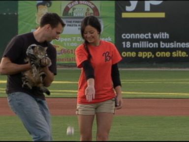 VIDEO: Hero Cat Throws First Pitch at Minor League Game