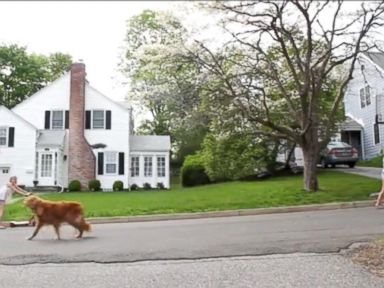 VIDEO: Drone Takes Dog For a Walk