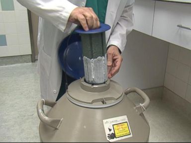 VIDEO: This revolutionary procedure provides an alternative to freezing your eggs.