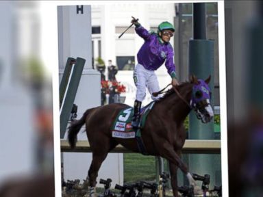 VIDEO: Horse Racing Fans Prepare for Possible Triple Crown Winner