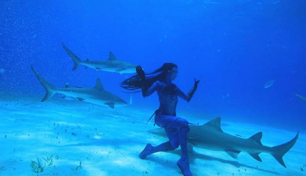 Video Real Life Mermaid Swims With Sharks Tries To Save Them Abc News