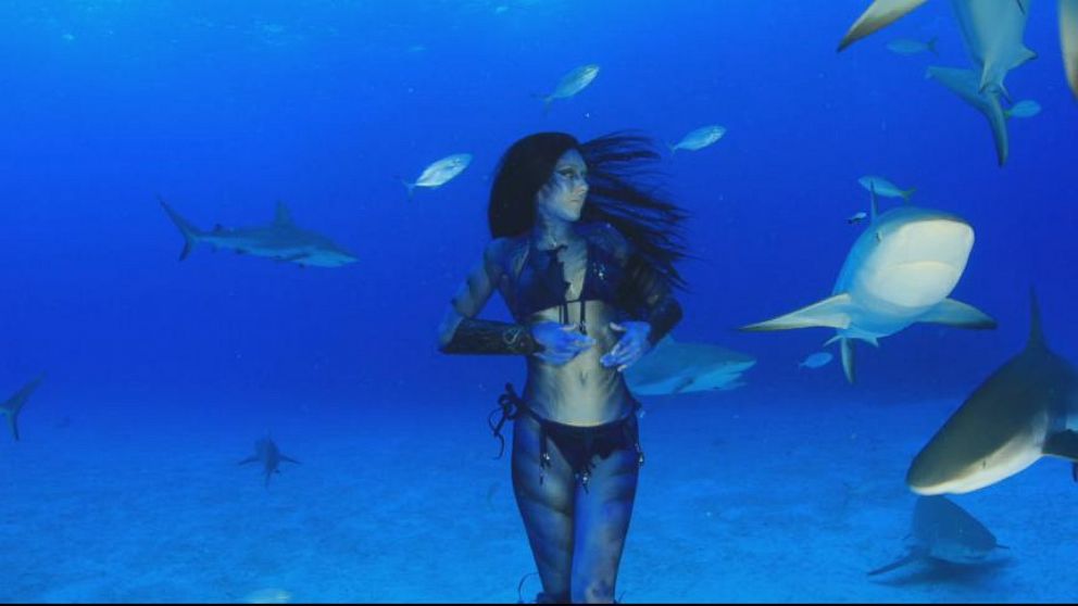 Real Life Mermaid Swims With The Sharks Video Abc News