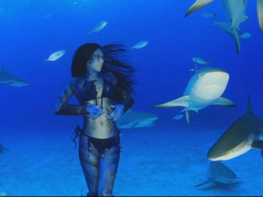 VIDEO: Hannah Fraser jumps in the water with the dangerous animal to raise awareness about humanity's impact on marine life.