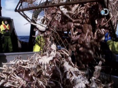 VIDEO: Mother Nature vs. Washington: 'Deadliest Catch's' Keith Colburn on the Politics of Crab Fishing