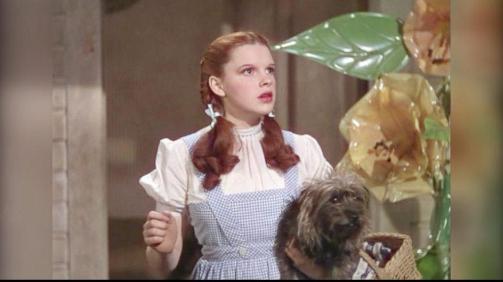 Video Judy Garlands Wizard Of Oz Dress To Be Auctioned Off Abc News 4368