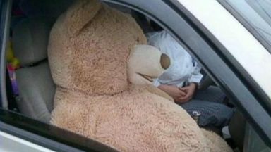 teddy bear rescue near me