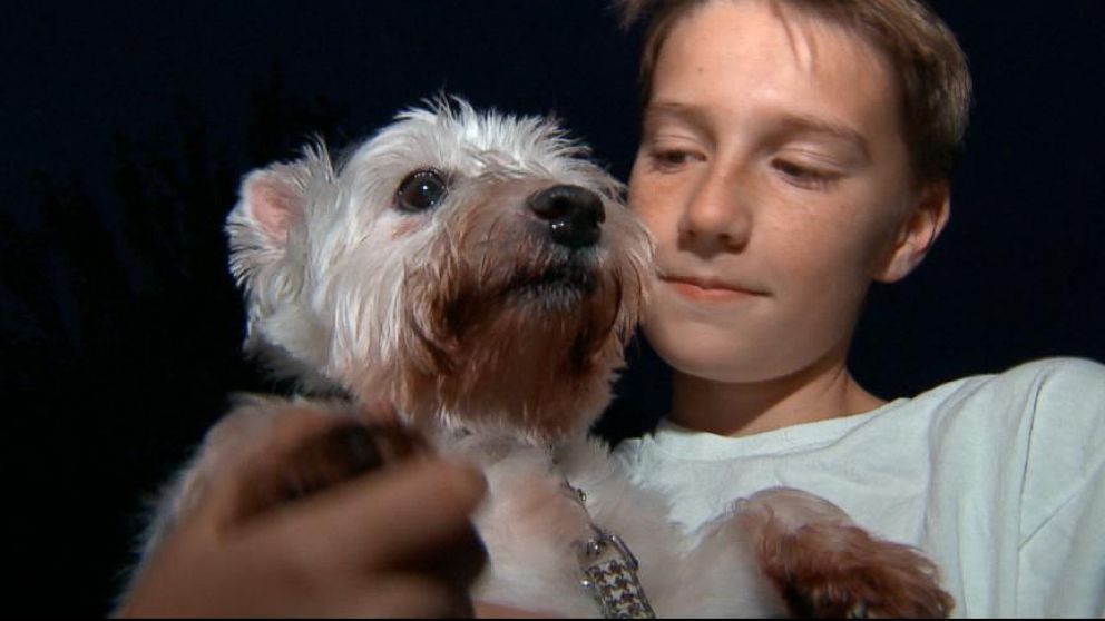VIDEO: Community Rallies to Help Boy Reach Goal, Adopt Puppy