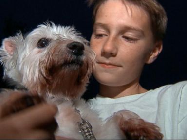 VIDEO: Community Rallies to Help Boy Reach Goal, Adopt Puppy