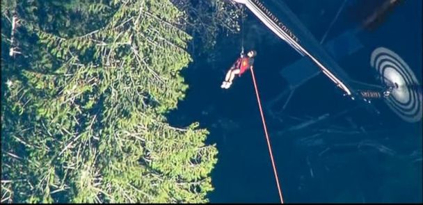 Missing Hiker Turned To Mushrooms Tree Bark To Survive Abc News