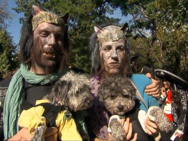 VIDEO: Dog Costume Parade Looks to Crown Best in Show