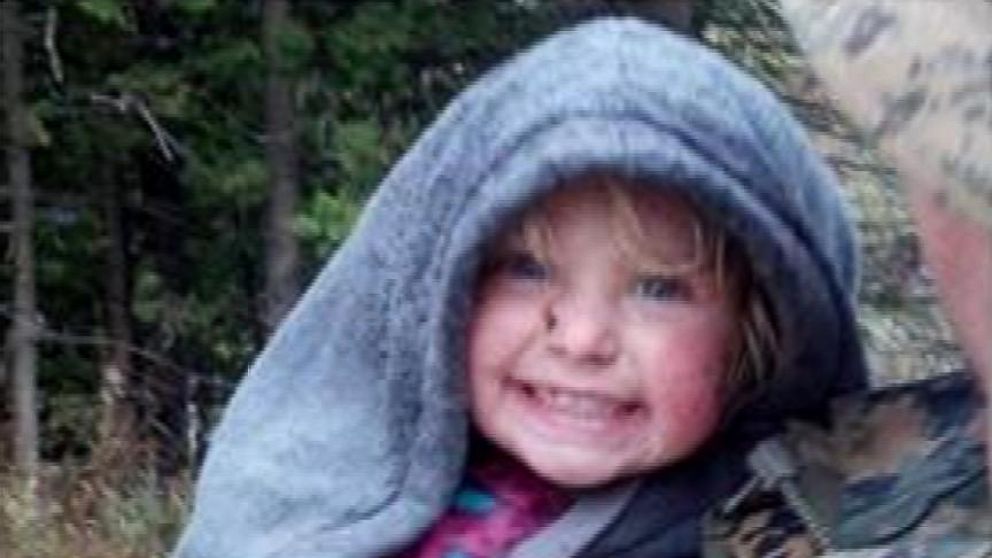 Video Missing Toddler Found In Woods After 22 Hours - ABC News