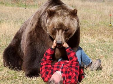 VIDEO: Tips to Survive a Bear Attack 