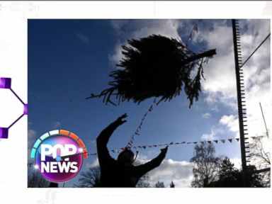 VIDEO: Farm Hosts Christmas Tree-Throwing Contest