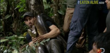 Discovery Channel On Snake Special Paul Rosolie Intended To Be Eaten Alive Abc News