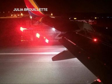 VIDEO: Birds Force Southwest Airlines Plane to Make Emergency Landing