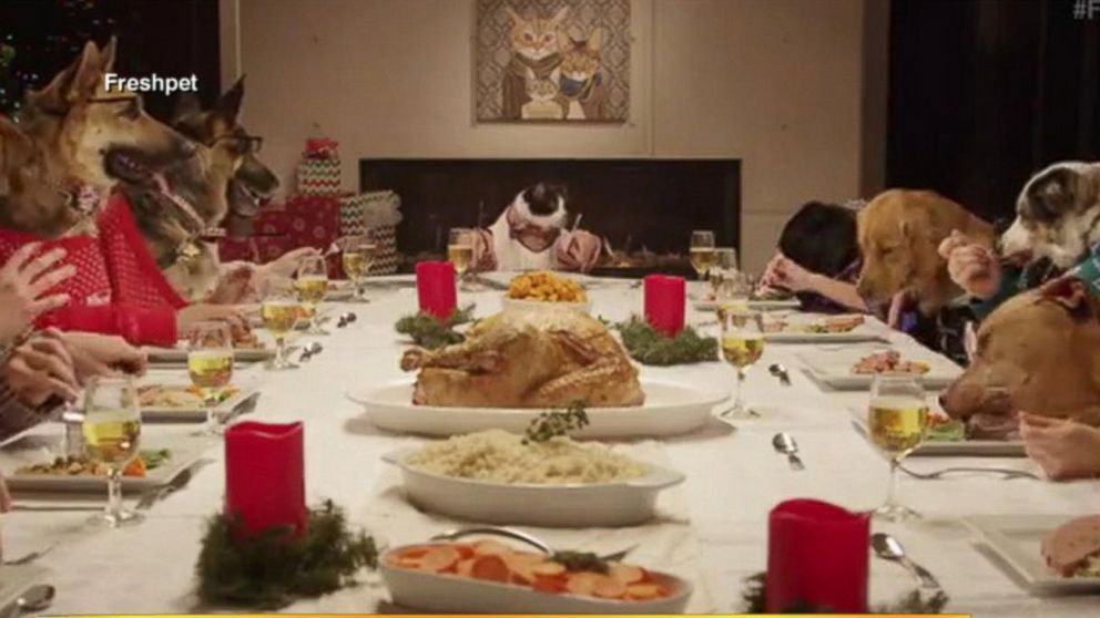 Pets Eat Christmas Dinner Together in Hilarious, Cute Humane Society Ad Video - ABC News
