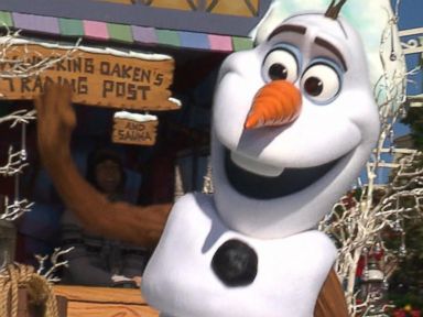 VIDEO: A "Frozen" Disney World Christmas