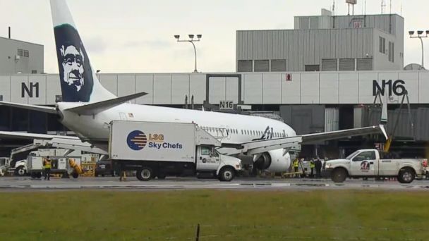 Video Alaska Airlines Flight Turns Around With Worker in the Cargo Hold ...