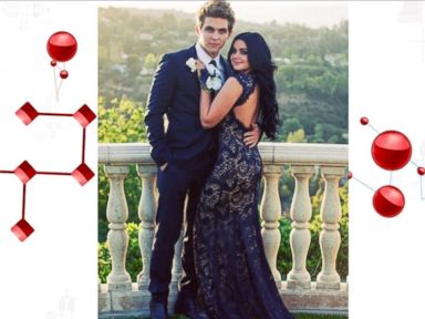 VIDEO: Ariel Winter Shares Photos From Her Prom