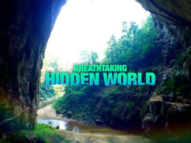 VIDEO: 'GMA' to Explore Hidden Worlds Live