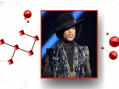 VIDEO: Prince to Take Stage for Tribute of Freddie Gray in Baltimore