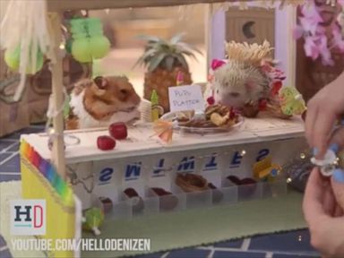 VIDEO: Tiny Hamsters Are Back to Take Us to a Tiki Party