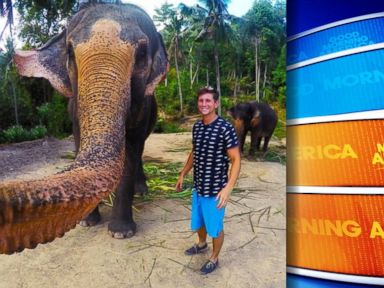 VIDEO: Man's Elephant Selfie Goes Viral