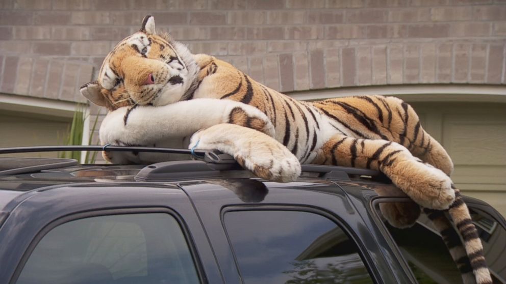 Washington 911 Caller Was Convinced Stuffed Tiger Was Real - ABC News