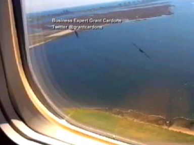VIDEO: FAA Plans to Investigate Plane Collisions With Birds