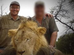 Walter Palmer Wanted by Zimbabwe Authorities for Questioning