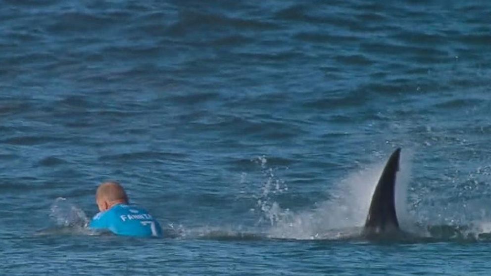 New Video of Surfer Mick Fanning's Great White Shark ...
