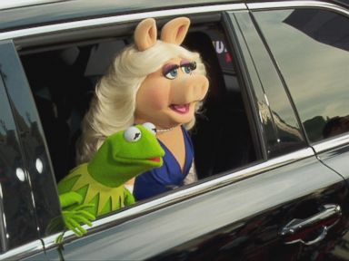 VIDEO: Kermit the Frog, Miss Piggy End Longtime Relationship