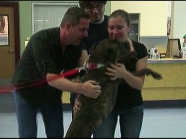 VIDEO: Boozer was a puppy when he went missing from a Tennessee family in 2006.