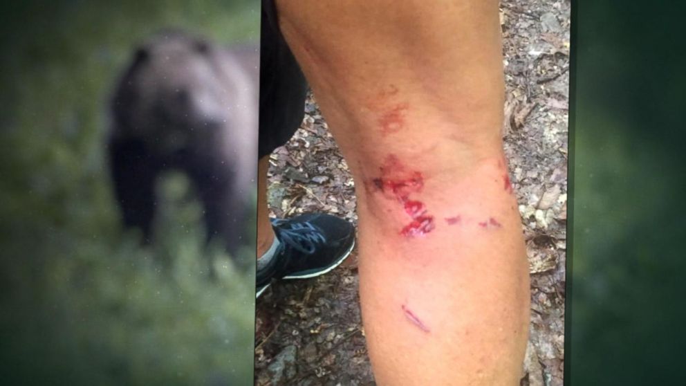 Bear Responsible for Deadly Yellowstone Attack Likely Found Video - ABC