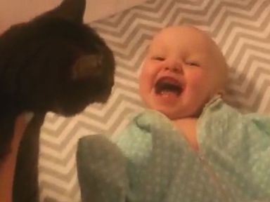 VIDEO: Baby Can't Control Herself When Cat Crawls in Crib