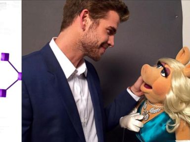 VIDEO: Liam Hemsworth Flirts With Missy Piggy: 'Most Beautiful Girl in the World'