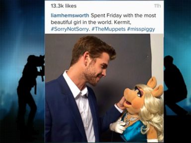 VIDEO: The "Hunger Games" star posted a photo of himself with the newly-single Miss Piggy.