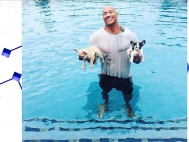 VIDEO: Dwayne 'The Rock' Johnson Saves French Bulldogs Puppies From Drowning