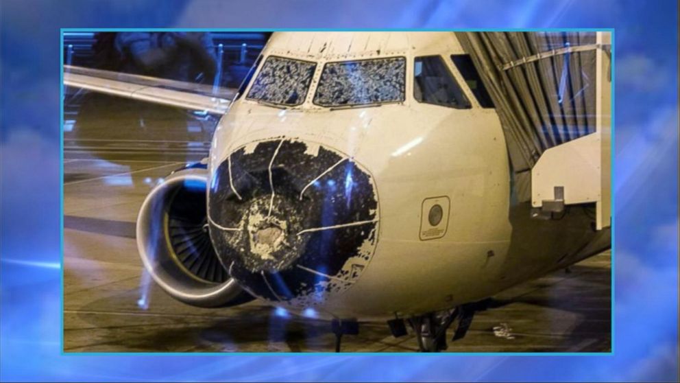 American Airlines Flight Forced to Land After Potential Bird Strike