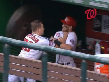 VIDEO: Top 5 Buzziest Sports Moments of 2015