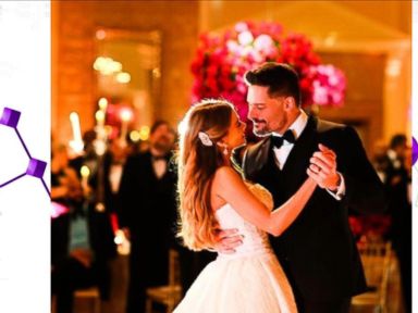 VIDEO: Sofia Vergara Reveals Wedding Details