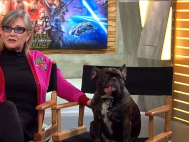 VIDEO: Carrie Fisher Dishes on Return to 'Star Wars' 