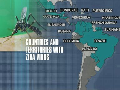 VIDEO: Travel Warning Expected From the CDC Over the Zika Virus